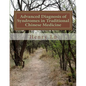 Advanced Diagnosis of Syndromes in Traditional Chinese Medicine - Paperback
