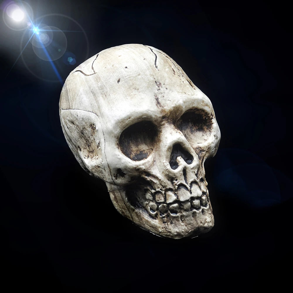 Plastic Skull Hanging Ornament, 9 x 14 x 10cm