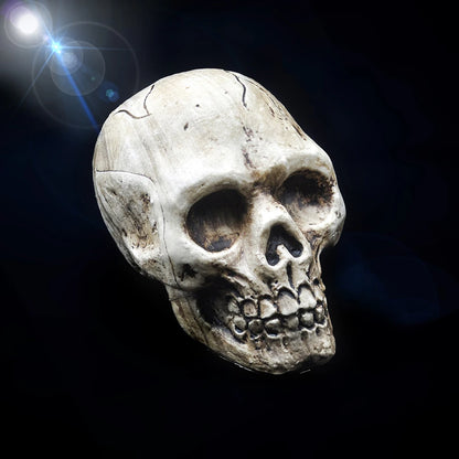 Plastic Skull Hanging Ornament, 9 x 14 x 10cm