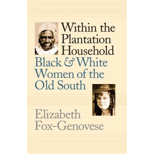 Within the Plantation Household: Black and White Women of the Old South - Paperback