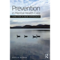 Prevention in Mental Health Care: Time for a new approach - Paperback