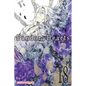 Pandorahearts, Vol. 18 - Paperback