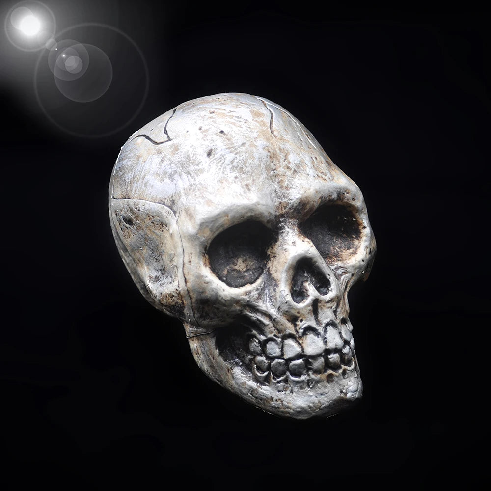 Plastic Skull Hanging Ornament, 9 x 14 x 10cm