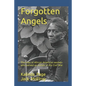 Forgotten Angels: The lives of African American women who served as nurses in the Civil War - Paperback