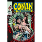 Conan the Barbarian: The Original Comics Omnibus Vol.7 - Hardcover