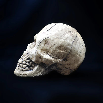 Plastic Skull Hanging Ornament, 9 x 14 x 10cm
