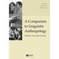 A Companion to Linguistic Anthropology - Paperback