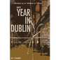 My Year in Dublin: Adventures of an American in Ireland - Paperback