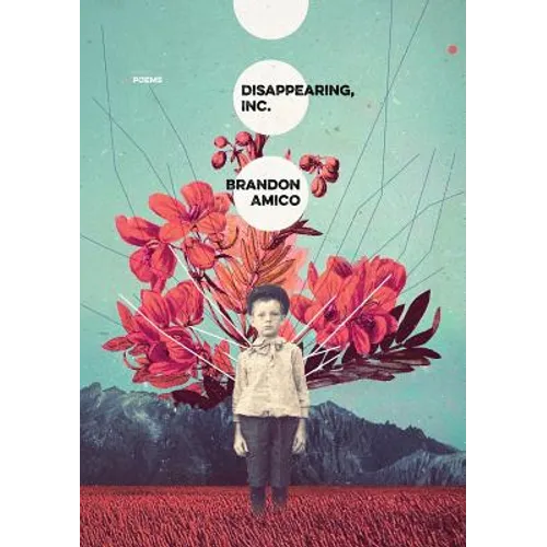 Disappearing, Inc. - Paperback