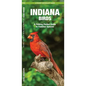 Indiana Birds: An Introduction to Familiar Species