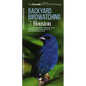 Backyard Birdwatching in Houston: An Introduction to Birding and Common Backyard Birds of Southeastern Texas