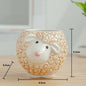 Nordic Ceramic Animal Mini Planters - Zebra, Sheep & Cow Head Succulent and Bonsai Pots for Home Decor