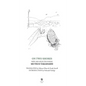 On Two Shores / 二つの岸辺: New and Selected Poems - Hardcover