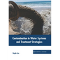 Contamination in Water Systems and Treatment Strategies - Hardcover