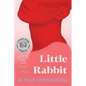 Little Rabbit - Paperback