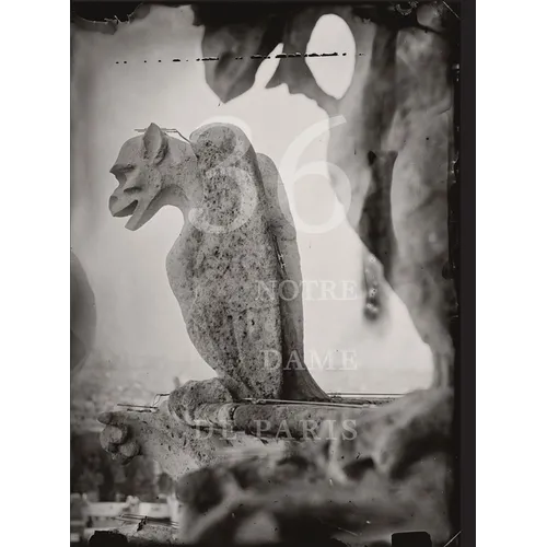 Tomas Van Houtryve: 36 Views of Notre Dame - Hardcover