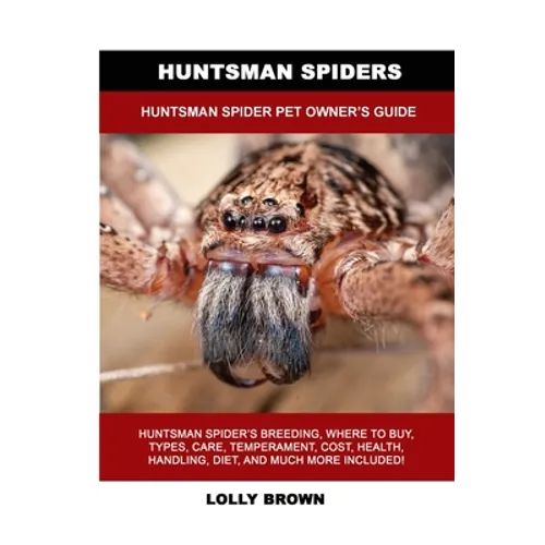 Huntsman Spiders: Huntsman Spider Pet Owner's Guide - Paperback