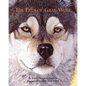 The Eyes of Gray Wolf - Paperback