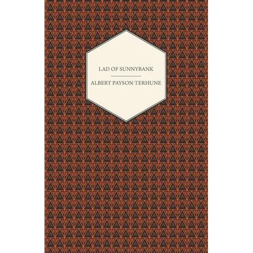 Lad of Sunnybank - Paperback