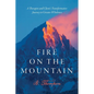Fire on the Mountain: A Therapist and Client's Transformative Journey to Greater Wholeness - Paperback