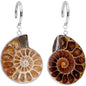 Handcrafted Spiral Ammonite Sea Fossil Ear Weights