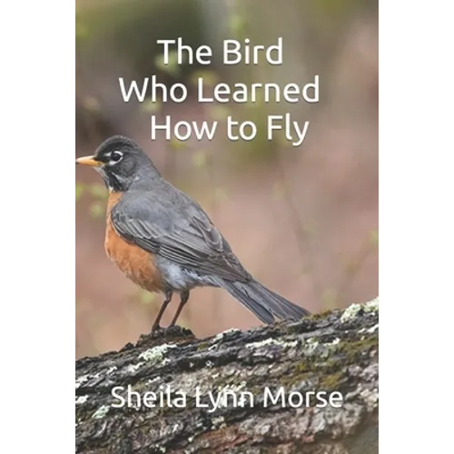 The Bird Who Learned How to Fly - Paperback