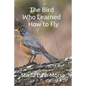 The Bird Who Learned How to Fly - Paperback