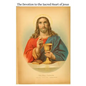 The Devotion to the Sacred Heart of Jesus: Intended Specially for Priests and Candidates for the Priesthood - Paperback