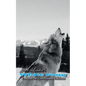 Jack London's White Fang - Enhanced Classroom Edition - Paperback