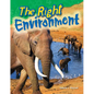 The Right Environment - Paperback