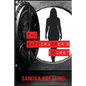The Safecracker's Secret - Paperback