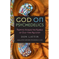 God on Psychedelics: Tripping Across the Rubble of Old-Time Religion - Paperback