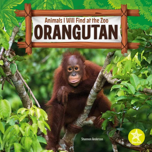 Orangutan - Hardcover