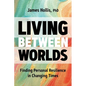 Living Between Worlds: Finding Personal Resilience in Changing Times - Hardcover