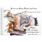 Between Rain, Wind and Sun: Over the Edge at the Ness of Brodgar - Paperback