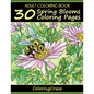 Adult Coloring Book: 30 Spring Blooms Coloring Pages - Paperback