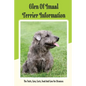 Glen of Imaal Terrier Information: The Traits, Care, Costs, Feed And Cure For Diseases: Treating A Glen Of Imaal Terrier Guide - Paperback