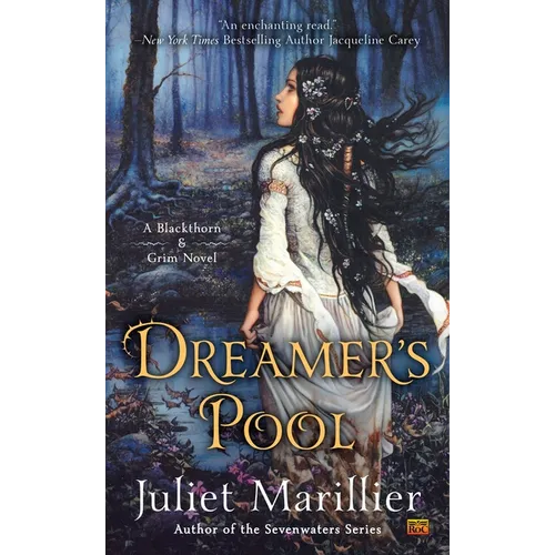 Dreamer's Pool - Paperback