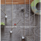 Shim Sutcliffe: The Passage of Time - Paperback