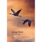 Jesmyn Ward: New Critical Essays - Paperback