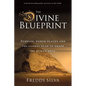 The Divine Blueprint: Temples, power places, and the global plan to shape the human soul. - Paperback