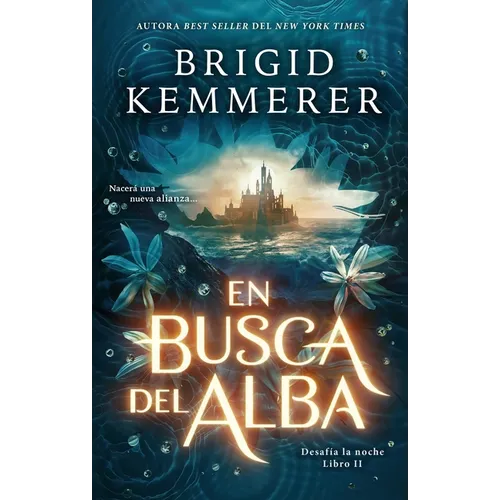 En Busca del Alba - Paperback