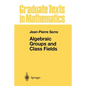 Algebraic Groups and Class Fields - Paperback