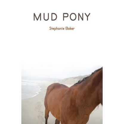Mud Pony - Paperback