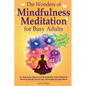 The Wonders of Mindfulness Meditation for Busy Adults - Paperback