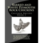Barred and White Plymouth Rock Chickens - Paperback