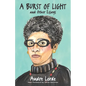 A Burst of Light and Other Essays - Hardcover