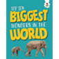 Top Ten Biggest Wonders in the World - Library Binding