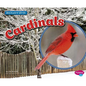 Cardinals - Paperback