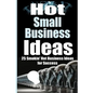 Hot Small Business Ideas: 25 Smokin' Hot Start Up Business Ideas To Spark Your Entrepreneurship Creativity And Have You In Business Fast! - Paperback